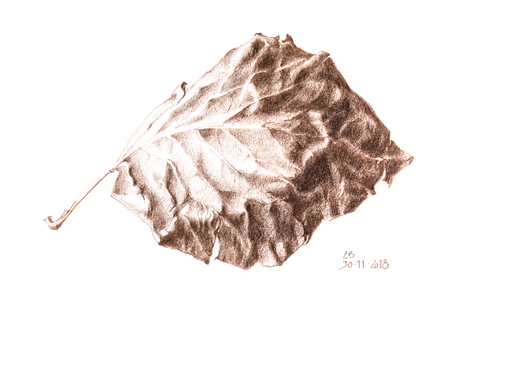 401A013D